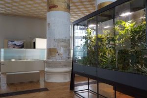Конференция для молодых ученых состоялась в Биомузее. Фото: Анна Быкова, «Вечерняя Москва»