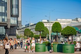 Зеленые зоны украсили станцию метро "Краснопресненская". Фото: Пресс-служба Департамента торговли и услуг города Москвы