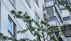 На безопасность проверили жилые дома в районе. Фото: Алина Мисеенко, «Вечерняя Москва»