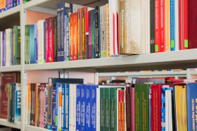 Мероприятие в честь Дня народного единства проведут в библиотеке №11. Фото: Ксения Догонашева, «Вечерняя Москва»