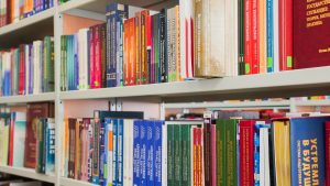 Мероприятие в честь Дня народного единства проведут в библиотеке №11. Фото: Ксения Догонашева, «Вечерняя Москва»