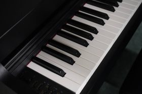 Праздничный концерт состоится в библиотеке №11. Фото: Анна Быкова, «Вечерняя Москва»