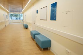 Арахис извлекли из легкого ребенка Врачи больницы имени Георгия Сперанского. Фото: Анна Быкова, «Вечерняя Москва»