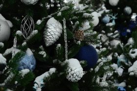 Мероприятие о Новом годе состоится в «Светловке». Фото: Анна Быкова, «Вечерняя Москва»