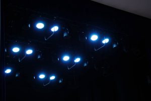 Премьера постановки «Вечеринка у ведьм» состоится в библиотеке №11. Фото: Анна Быкова, «Вечерняя Москва»