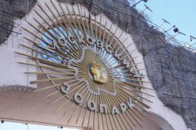 Московский зоопарк пополнился новыми редкими животными. Фото: Ксения Догонашева, «Вечерняя Москва»