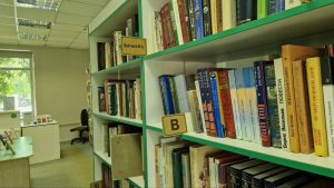 Мастер-класс «Новогодняя Лошадка» состоится в библиотеке №9. Фото: Алина Иржанова, «Вечерняя Москва»