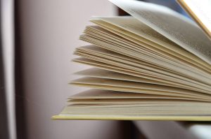 Мероприятие о дамских фарфоровых изделиях в СССР состоится в библиотеке №11. Фото: Анна Быкова, «Вечерняя Москва»