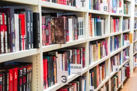 Мероприятие о путешествии к народам России состоится в библиотеке №10. Фото: Ксения Догонашева, «Вечерняя Москва»